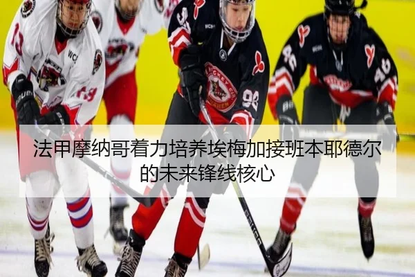 fa-jia-mo-na-ge-zhuo-li-pei-yang-ai-mei-jia-jie-ban-ben-ye-de-er-de-wei-lai-feng-xian-he-xin-2-590.jpg